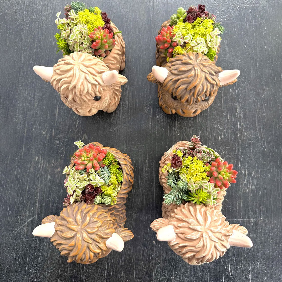 Mini Highland Cow Succulent Pot