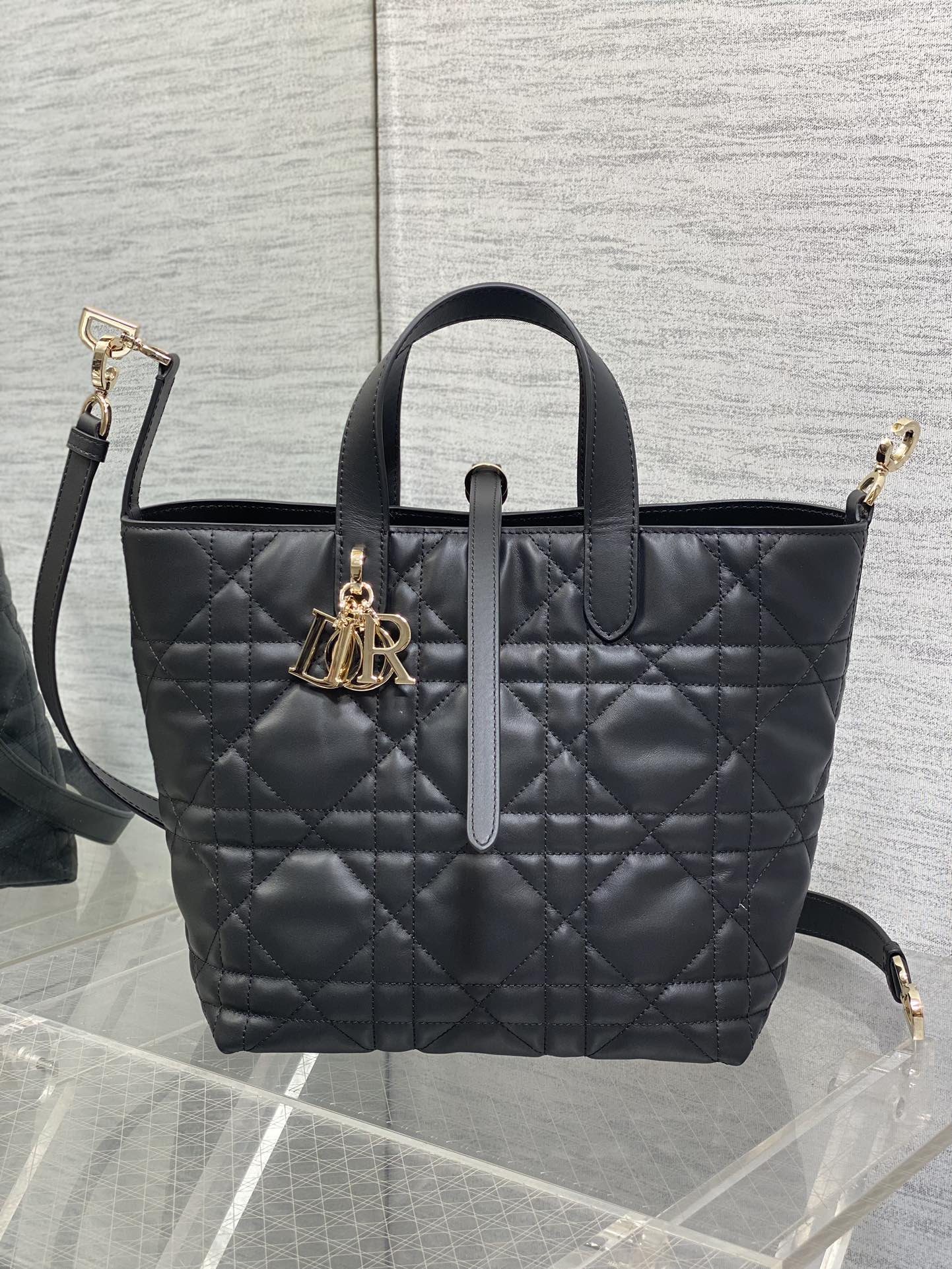Dior Toujours Vertical Series Medium