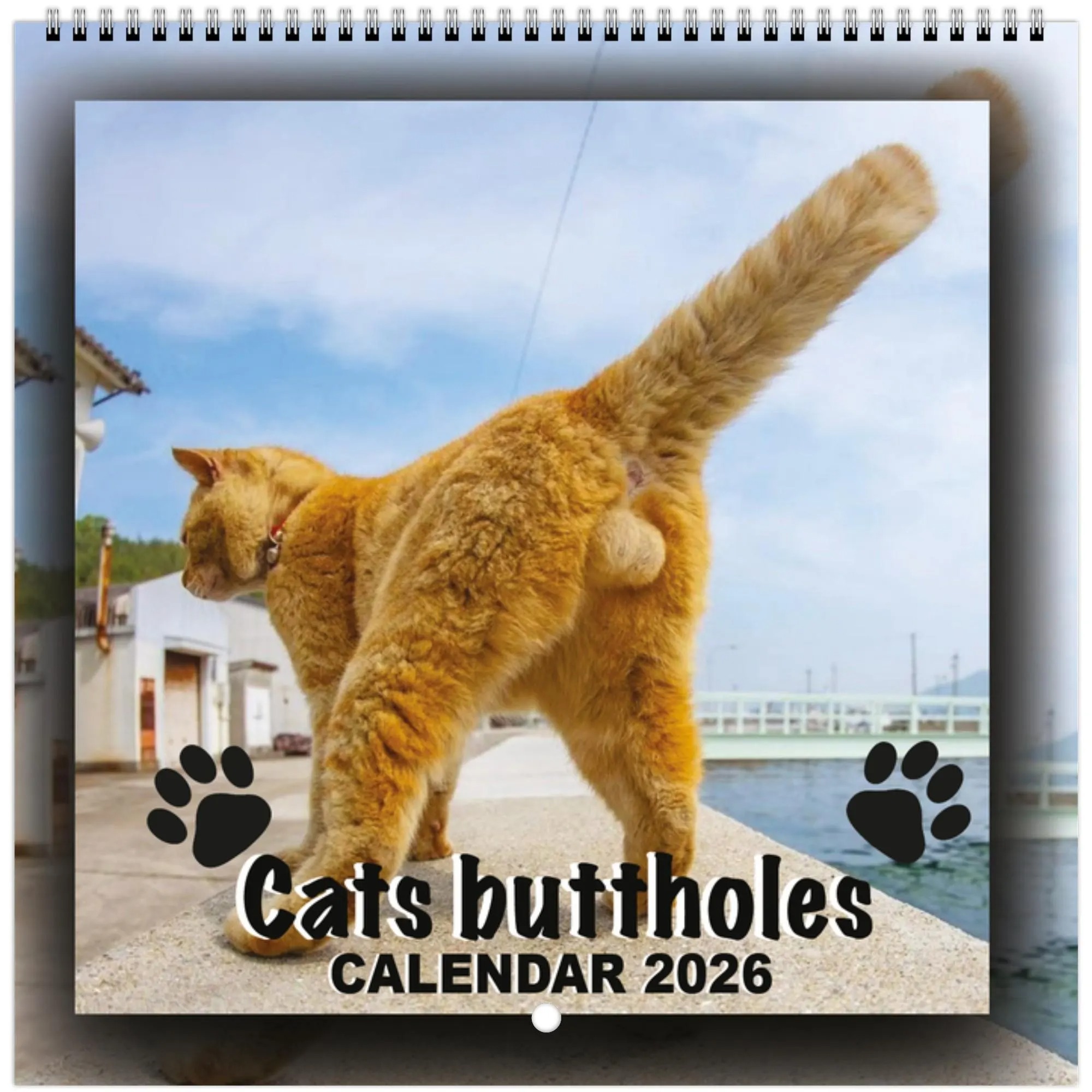 Cats' Buttholes 2026 Calendar: Funny Gag Gift for Cat Lovers