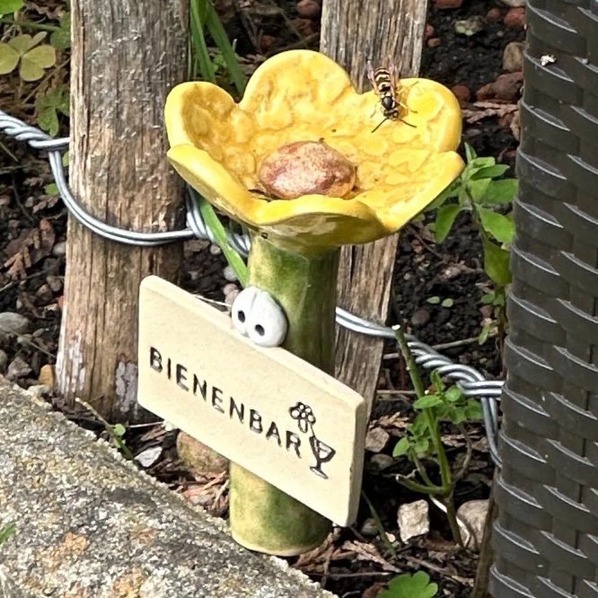 🐝Handmade Insect Drinkers – Fascinating Drinkers for Wild Bees and Insects💐