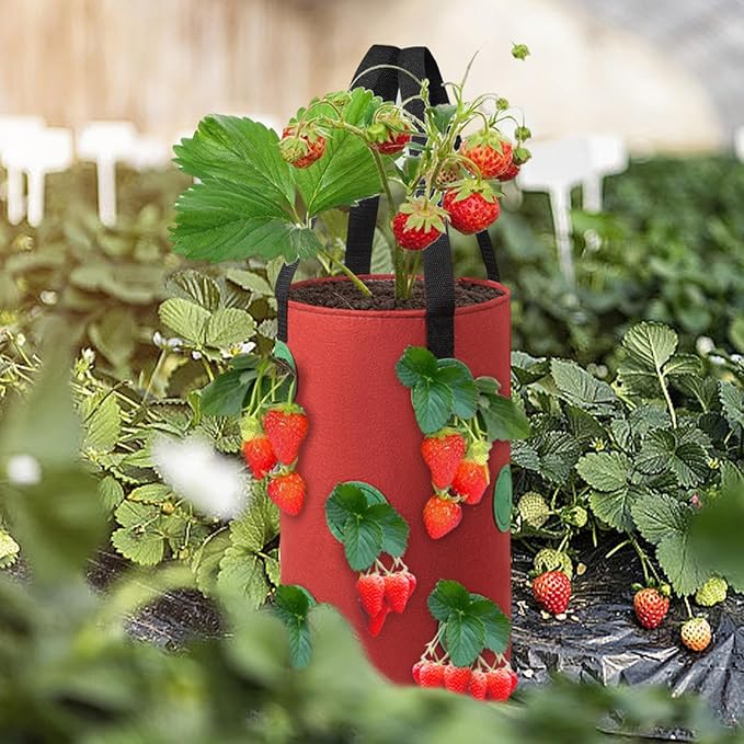 🌱🍓 12 Hole Non-Woven Hanging Grow Bag