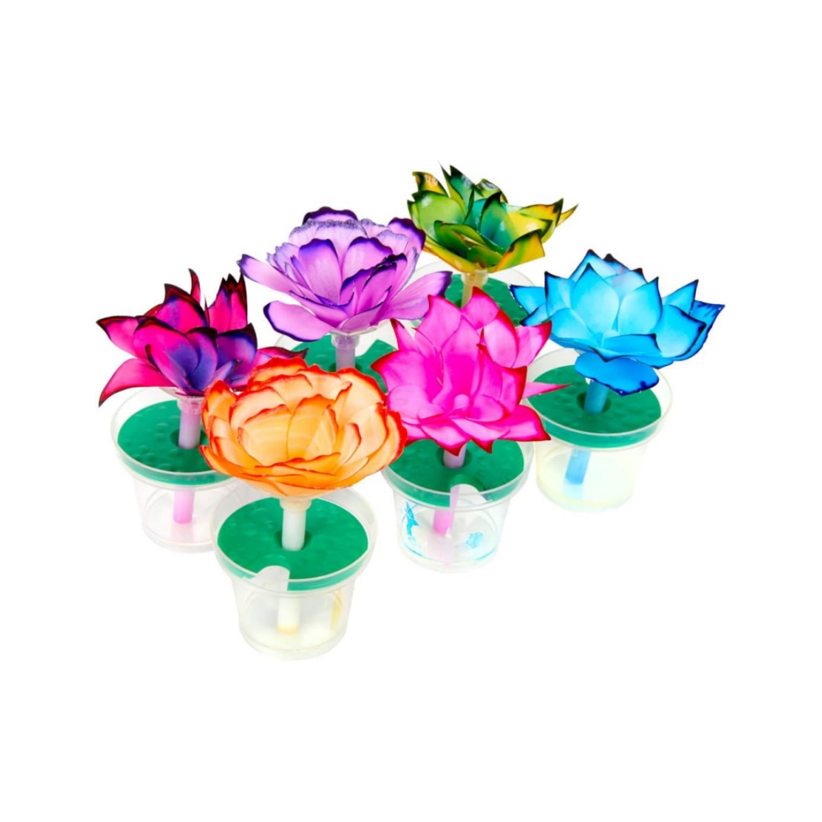 🔥On Sale🔥Paper Flower Science Kit, Color Changing Flowers