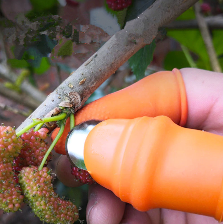 Harvesting Thumb Knife  (BUY 2 GET 1 FREE)