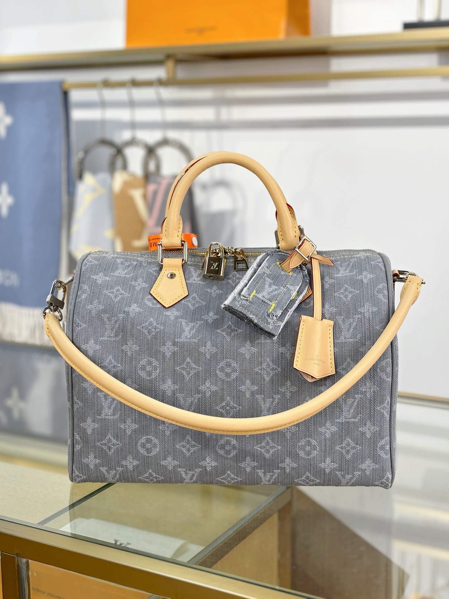 Louis Vuitton SPEEDY SOFT 30 Bag M13344