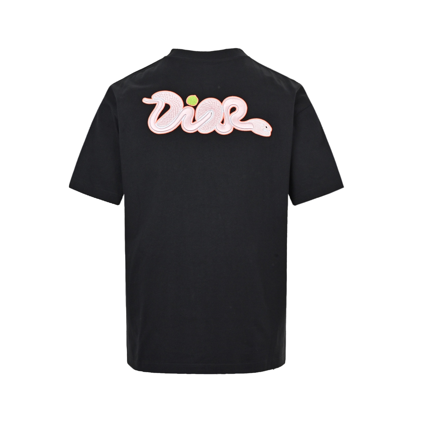 Dior 25ss Year of the Snake Limited Edition Tatami Embroidered Short Sleeve