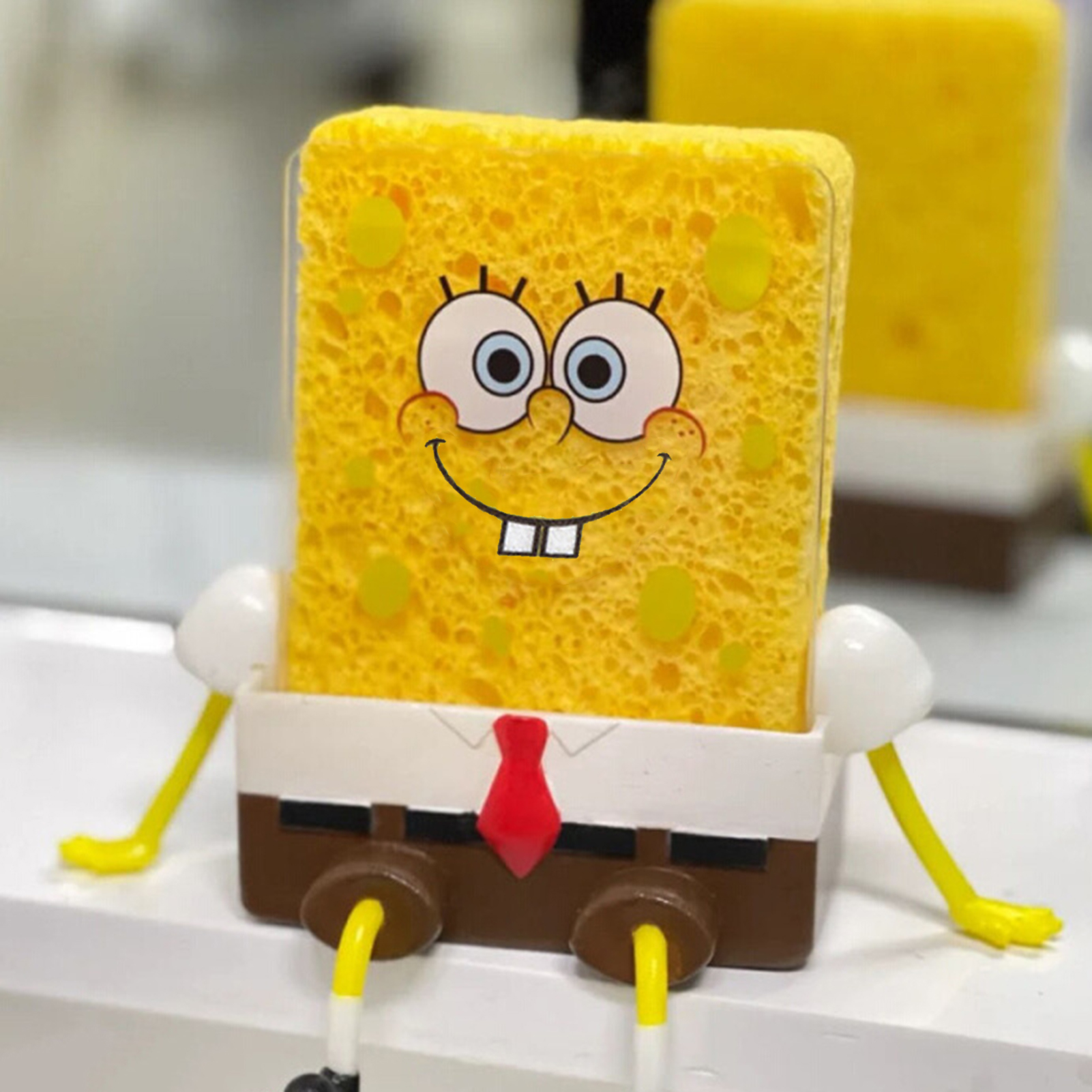 Sponge Container Sponge Rack