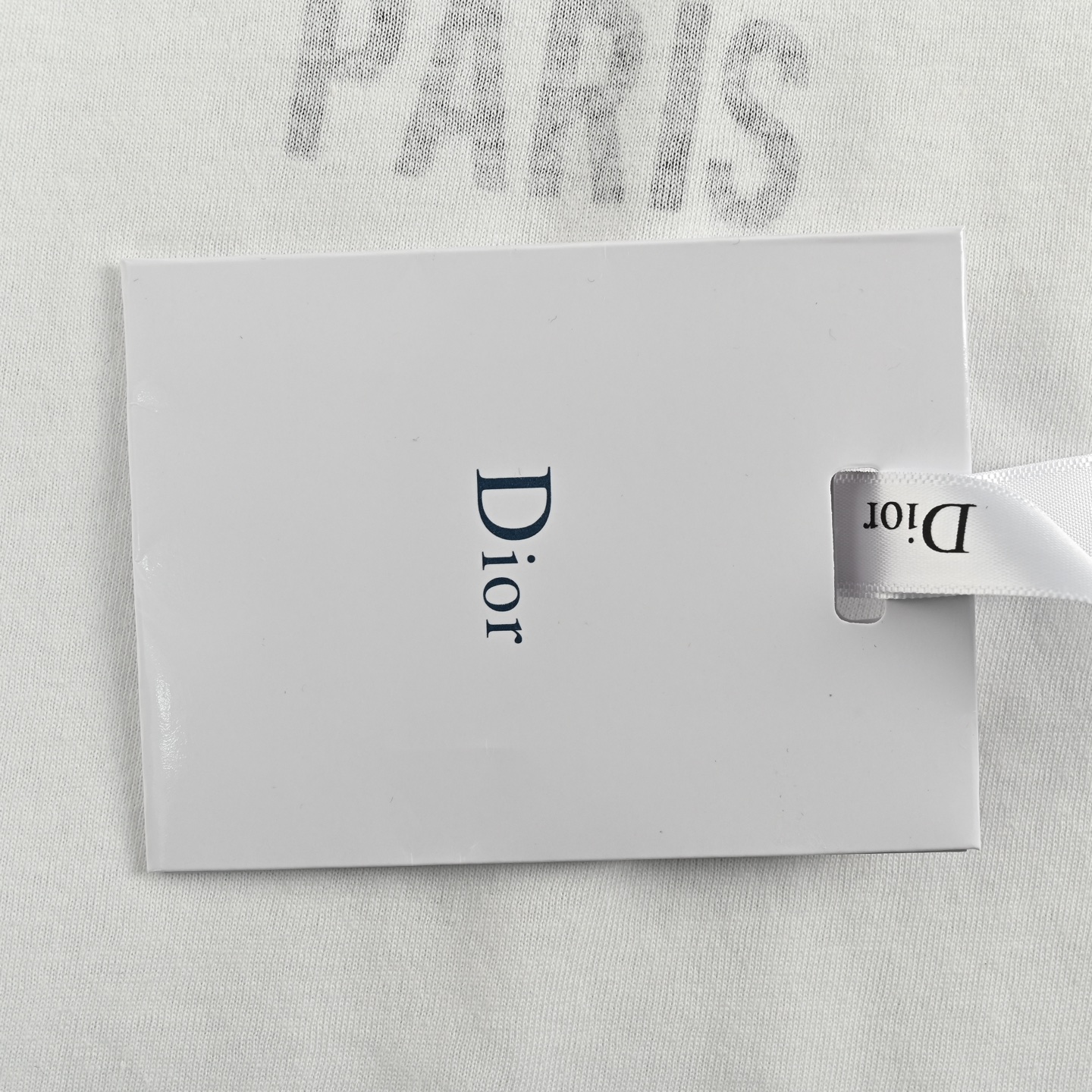 Dior 25ss butterfly print reverse short sleeve