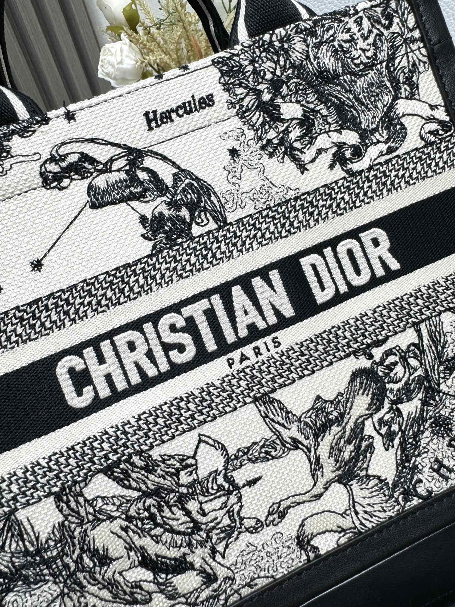 Dior Mini Book tote bag