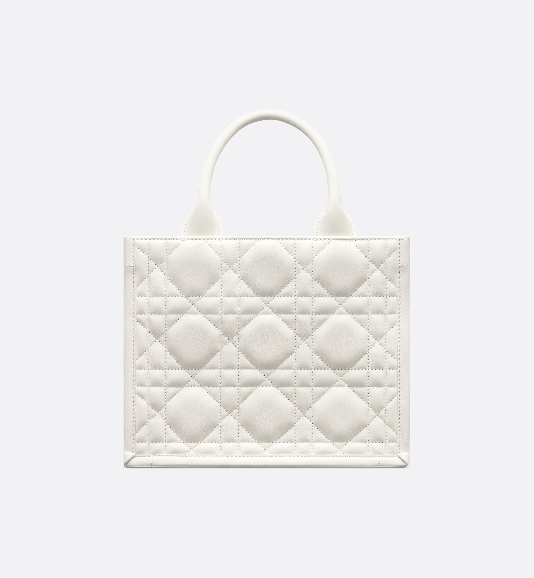 Dior Small Book Tote Bag M1325OWHP_M030