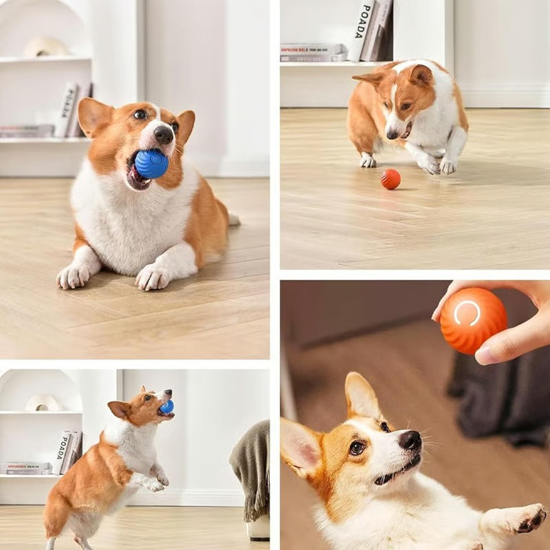 🔥Electric Rolling Pet Toy Ball