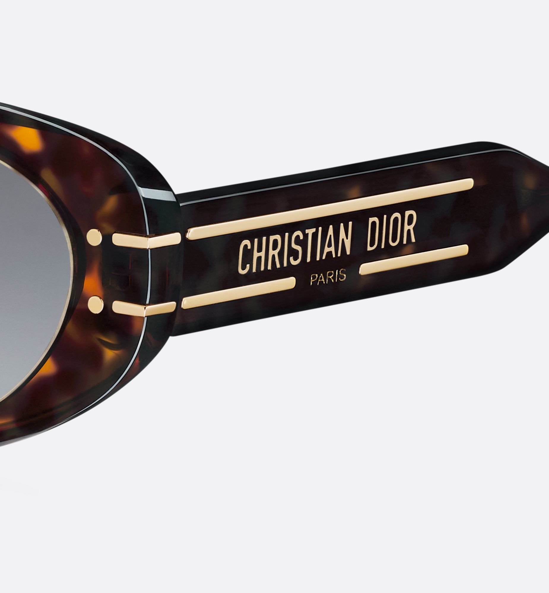 Dior DiorSignature B8U Sunglasses DSGTB8UXR_24A1