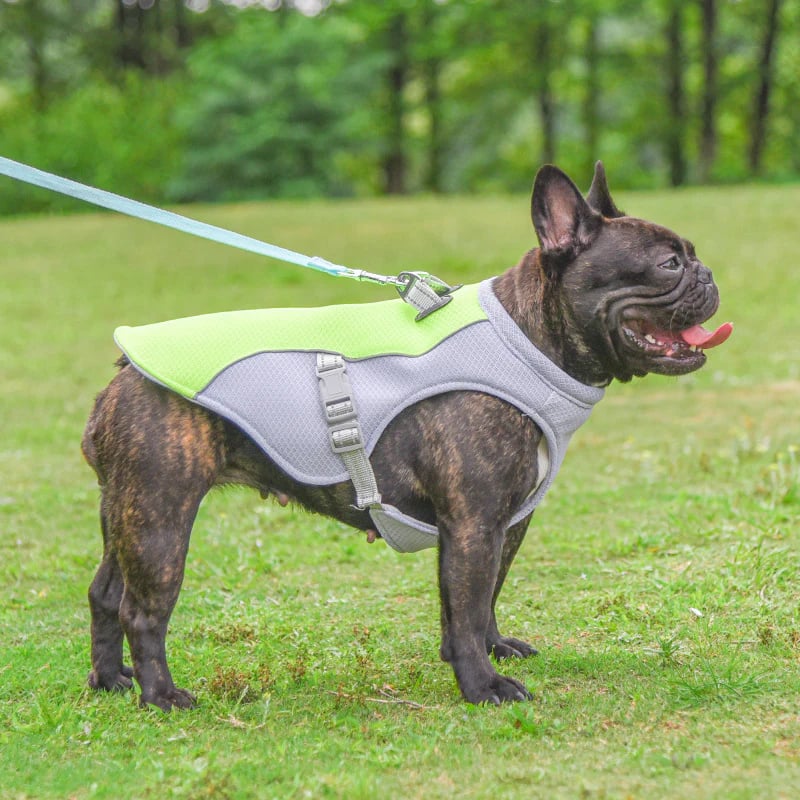 🔥 Ice Cooling Dog Protective Vest