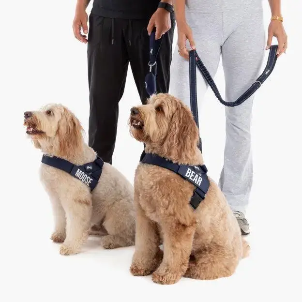 Bungee Dog Leash – Shock Absorbing, Reflective & Heavy Duty with Traffic Handle & Padded Grip Dog Leash