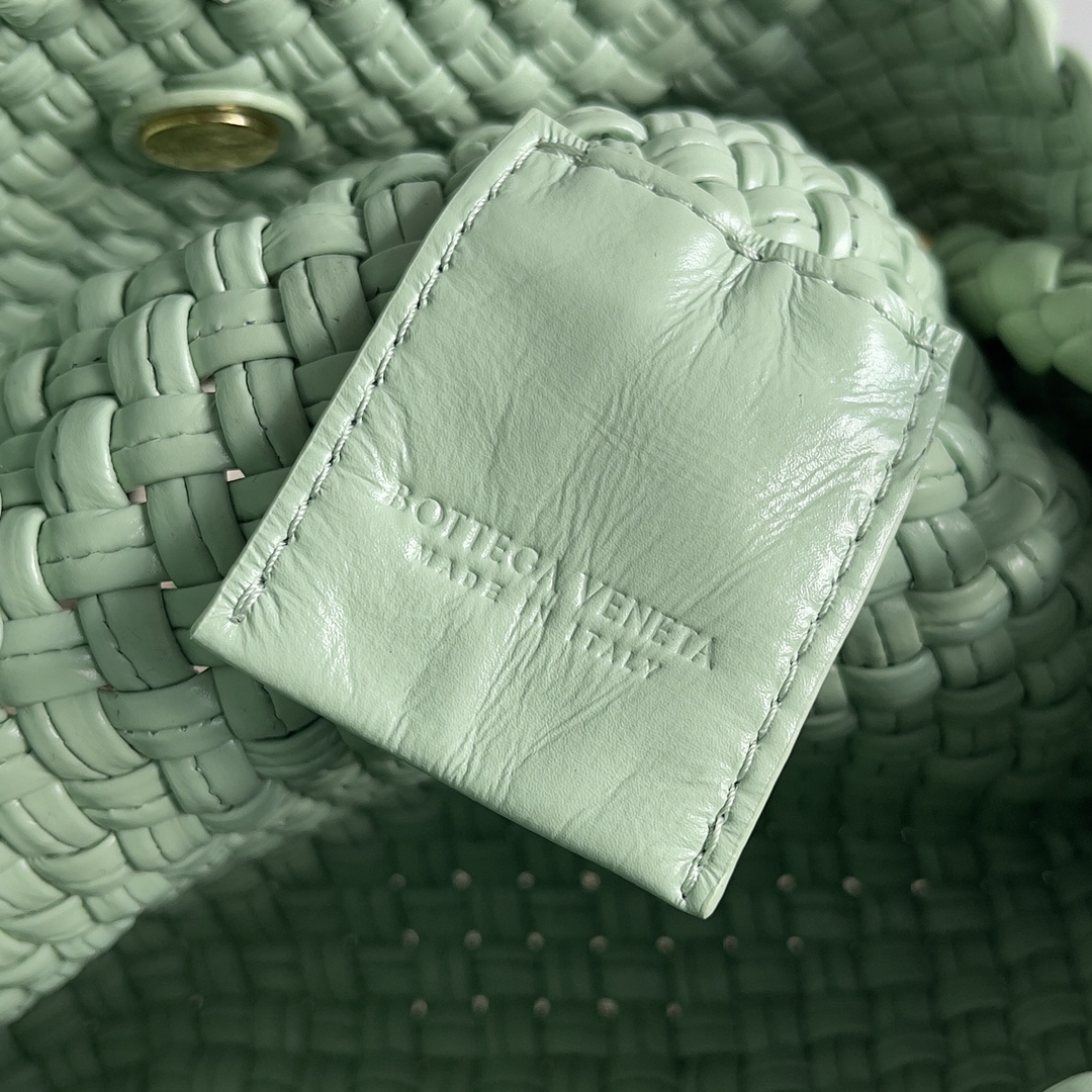 Bottega Veneta TOSCA woven handbag 776755