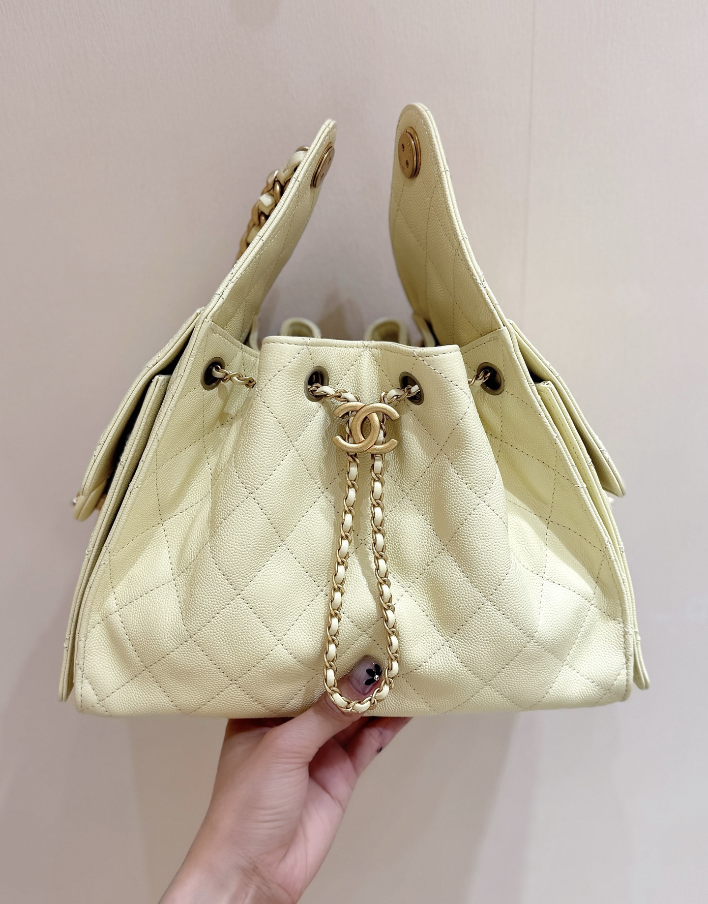 Chanel 25S Spring/Summer Collection Handbag AS5293 00158