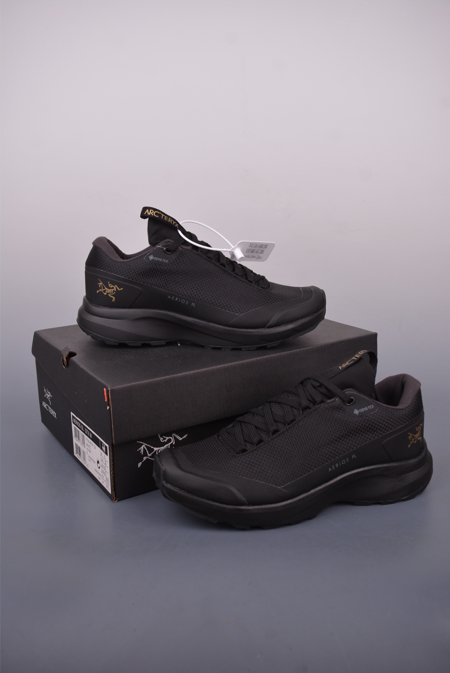 Arc'teryx AERIOS running shoes 0772181526