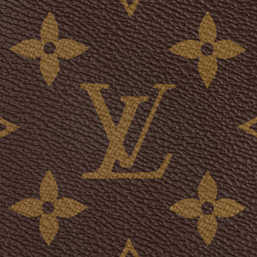 Louis Vuitton CARRYALL Handbag M46197