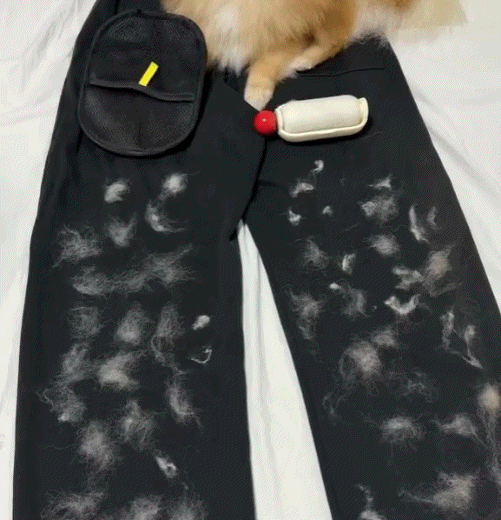 The Magic Brush - Buy 1 Get 1 Free