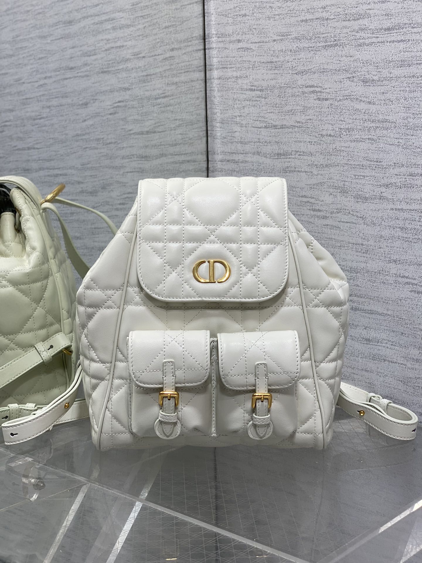Dior Caro Fall/Winter Backpack