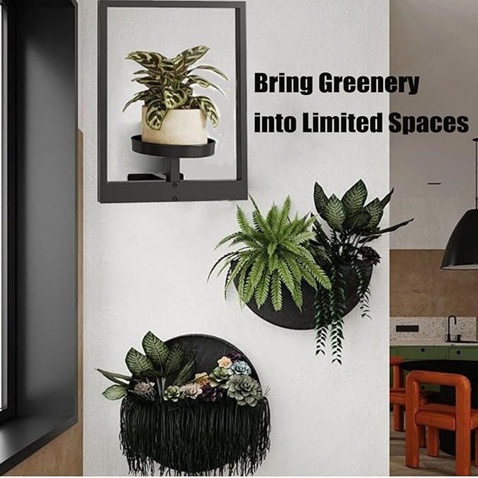 💐Photo Frame Wall Plant Stand
