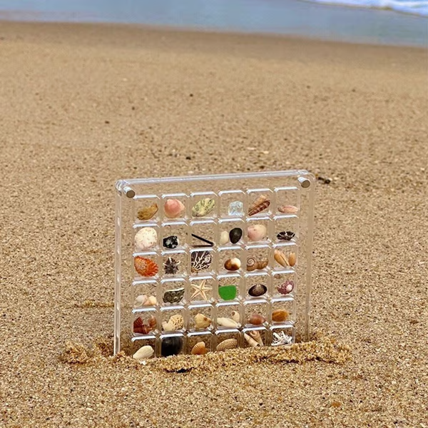 Acrylic Magnetic Shell Display Box
