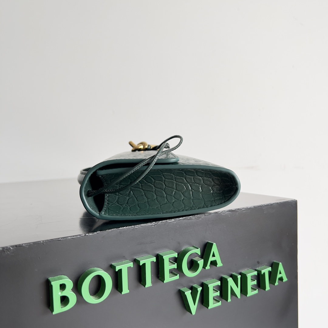 Bottega Veneta Andiamo rare crocodile leather handbag 741511