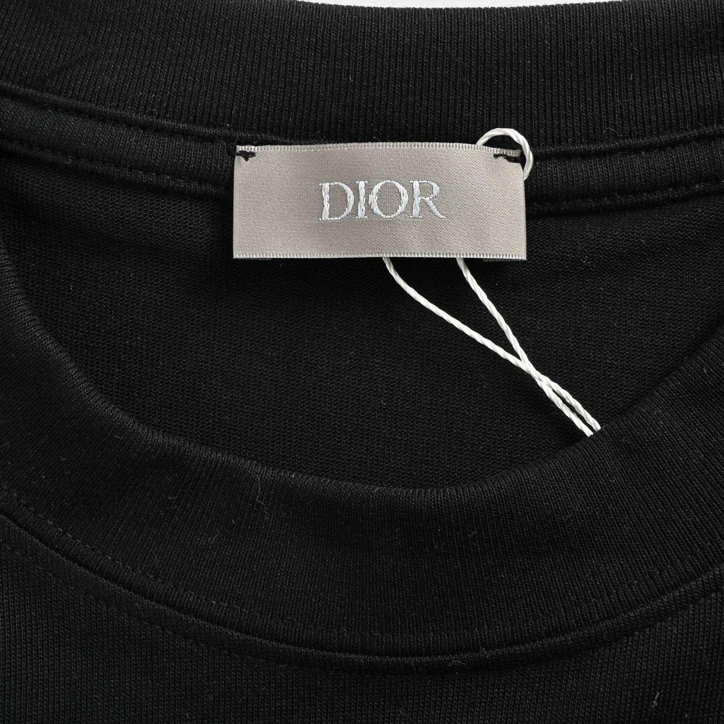 Dior 25ss dragonfly print short sleeve