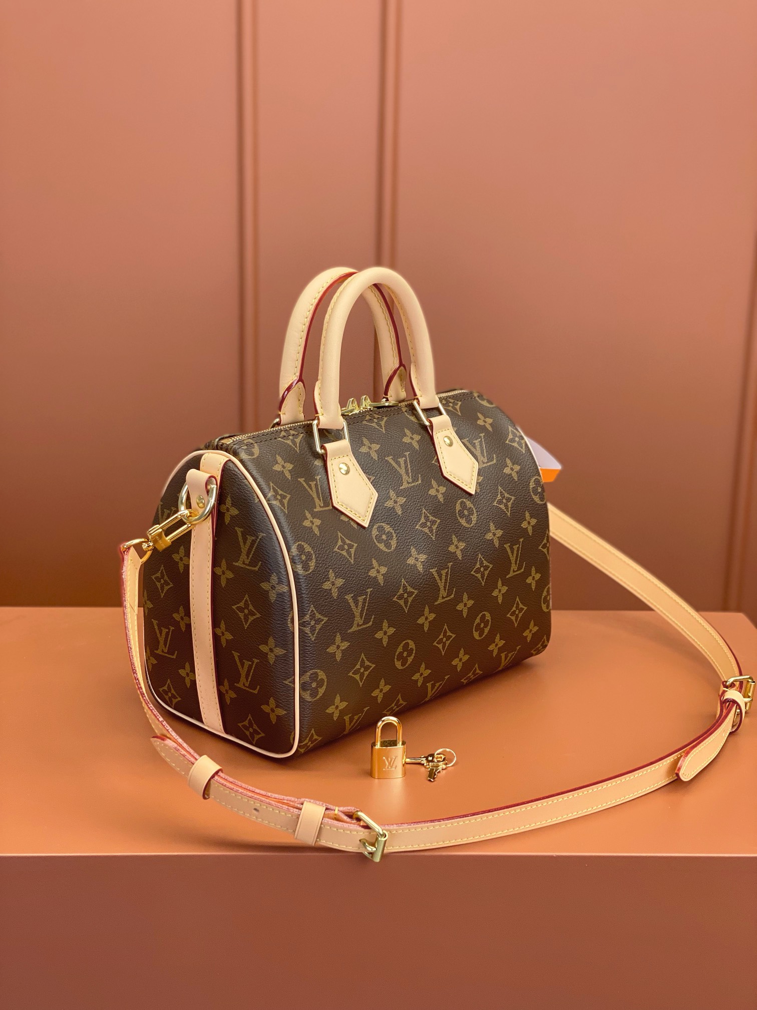 Louis Vuitton SPEEDY 25 Handbag M41113
