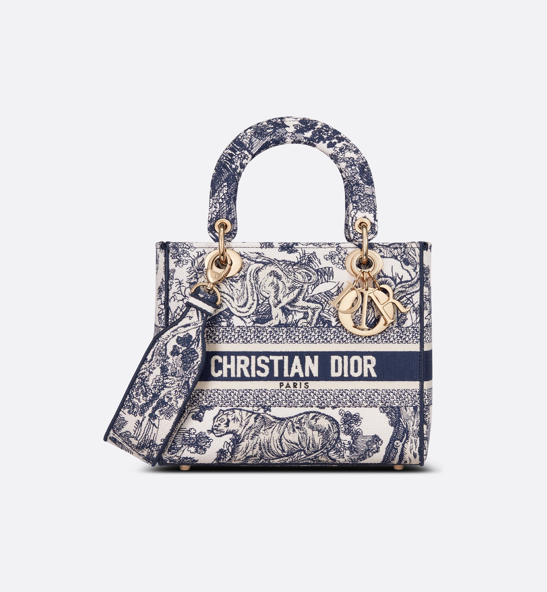 Dior Medium Lady D-Lite Bag M0565OTDT_M808