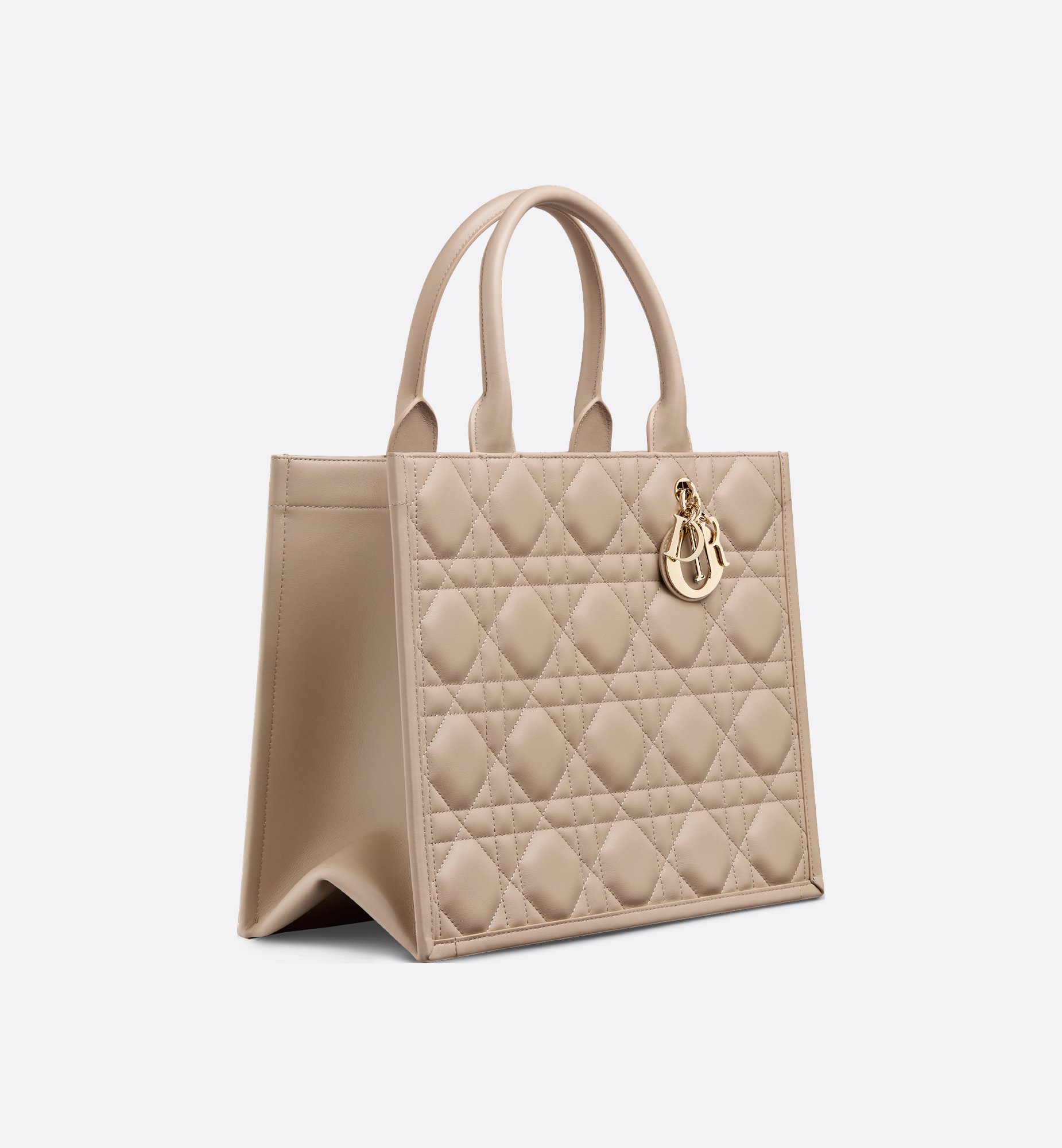 Dior Medium Book Tote Bag M1324OWHP_M59U