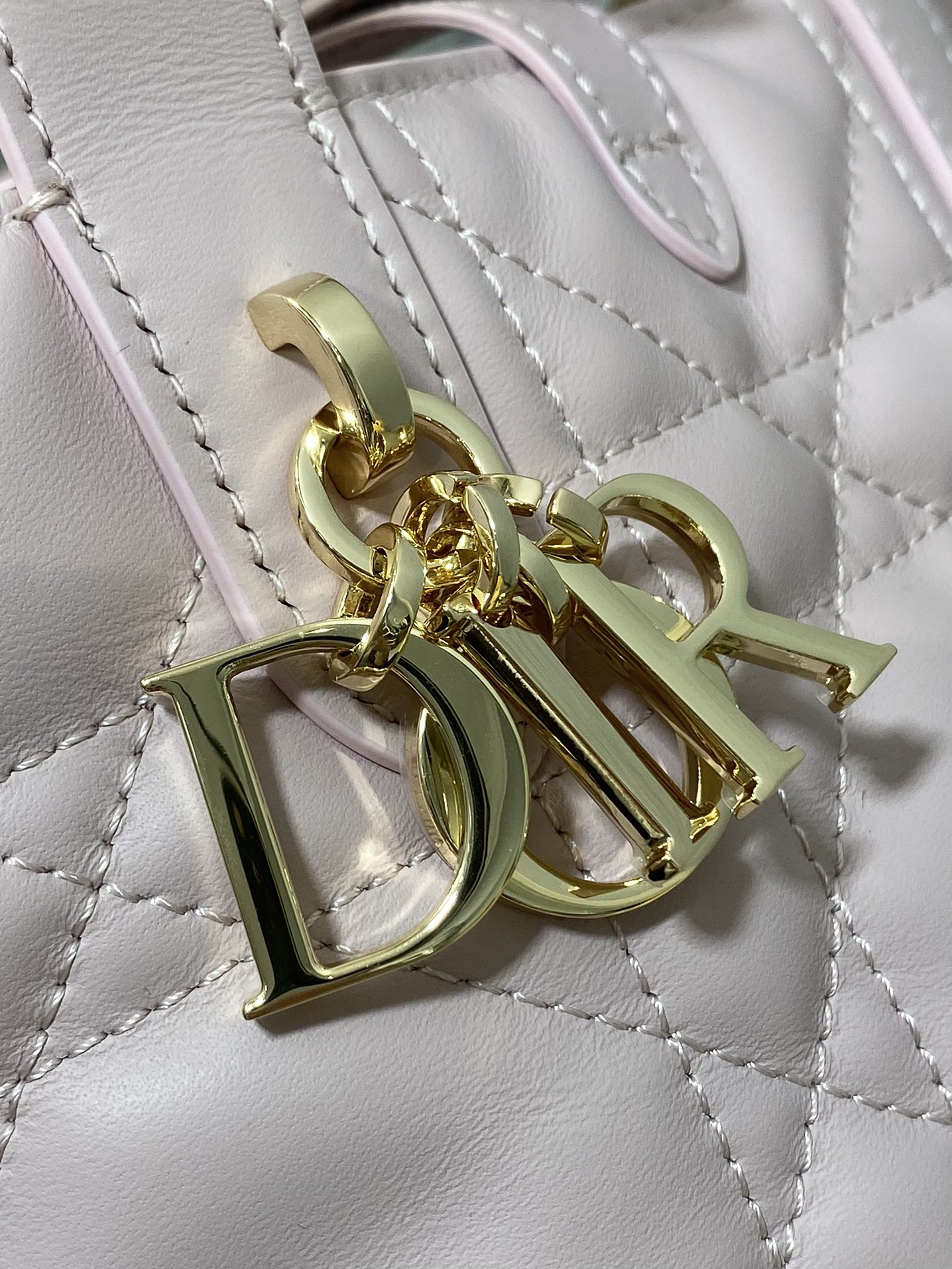 Dior Toujours vertical series mini
