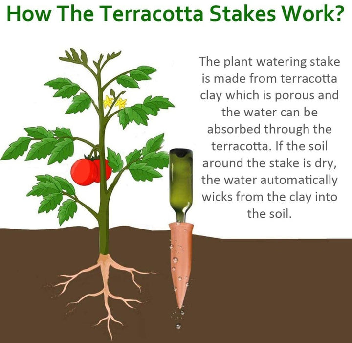 🔥[Summer Hot Sale-SAVE 50% OFF]4Pcs/Pack Terracotta Watering Devices for Indoor Outdoor Plants❤️❤️