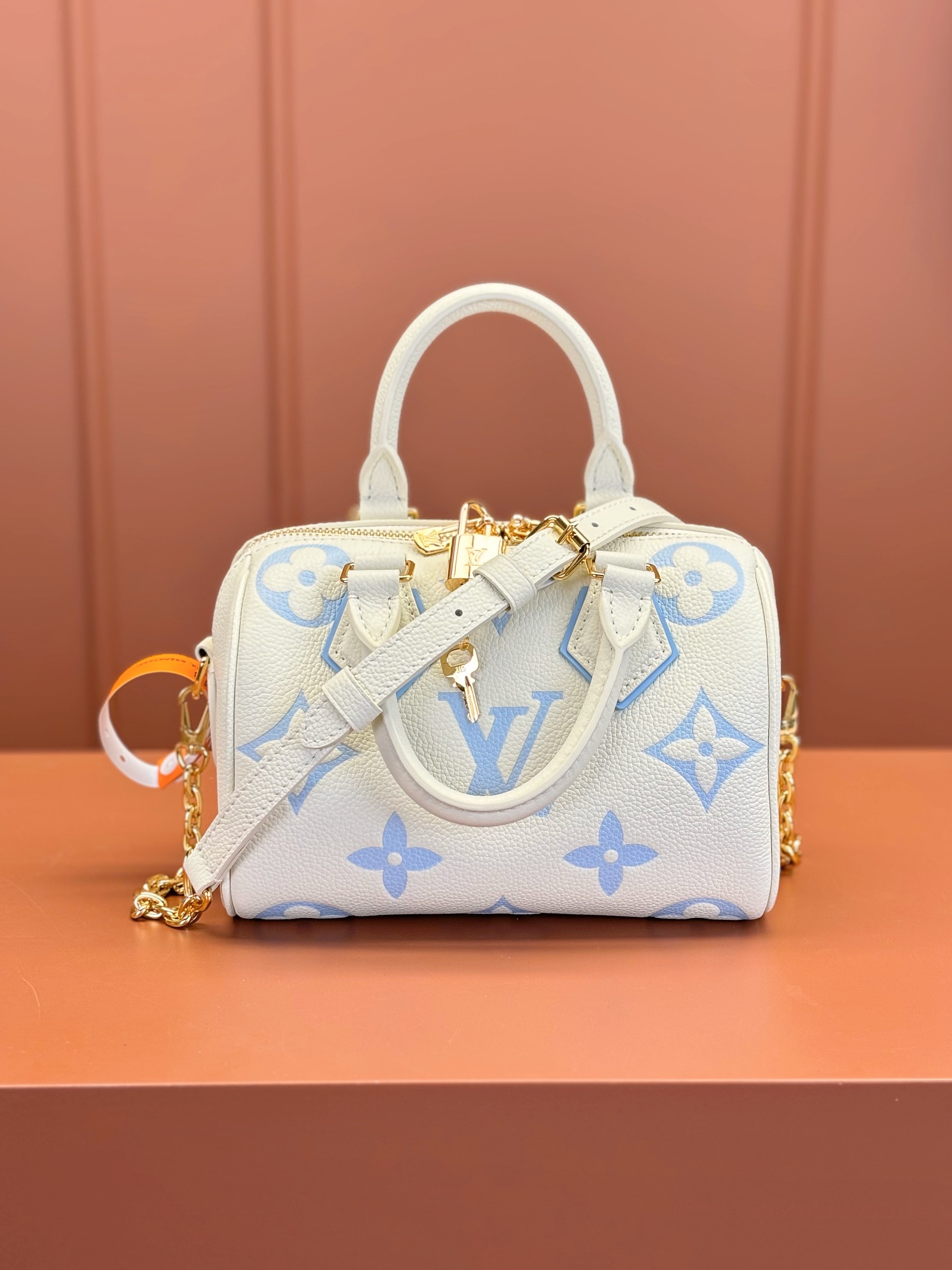 Louis Vuitton SPEEDY BANDOULIÈRE 20 Handbag M46883