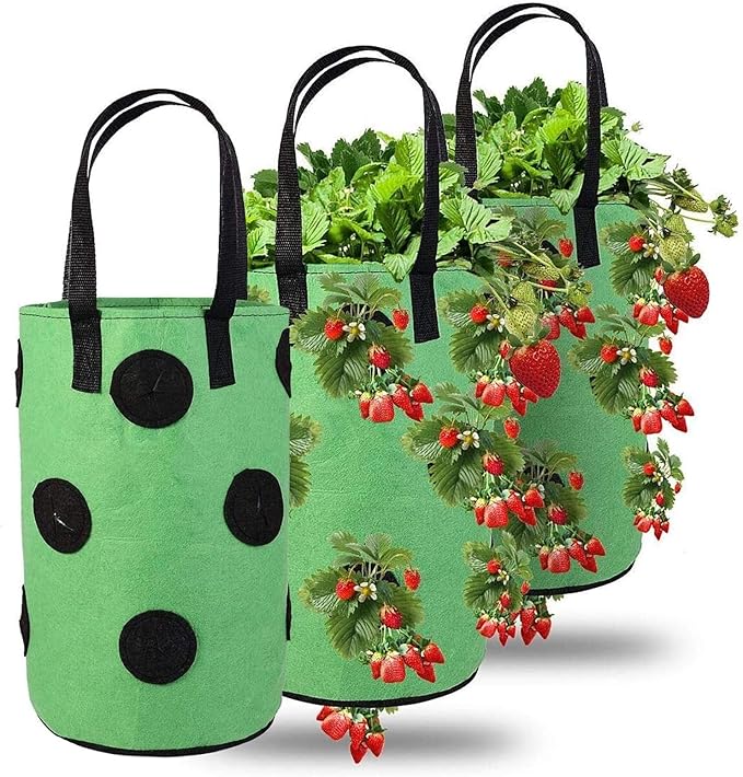🌱🍓 12 Hole Non-Woven Hanging Grow Bag