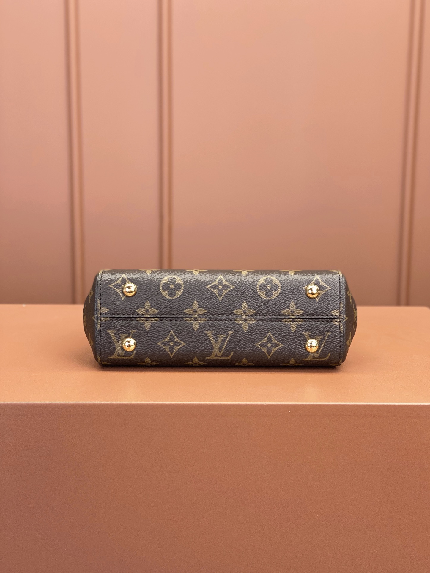 Louis Vuitton CLUNY Mini Bag M46055