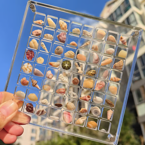 Acrylic Magnetic Shell Display Box