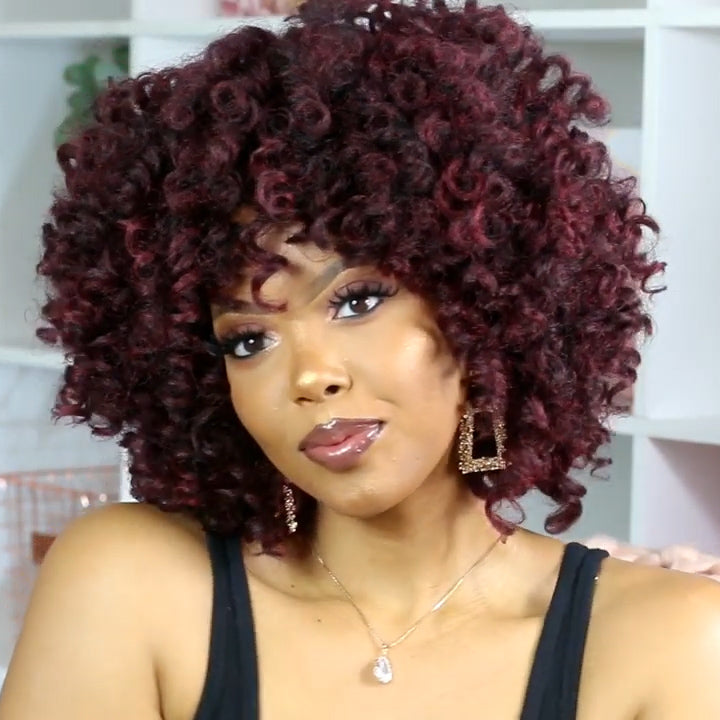 Super Fashion Curly Wigs
