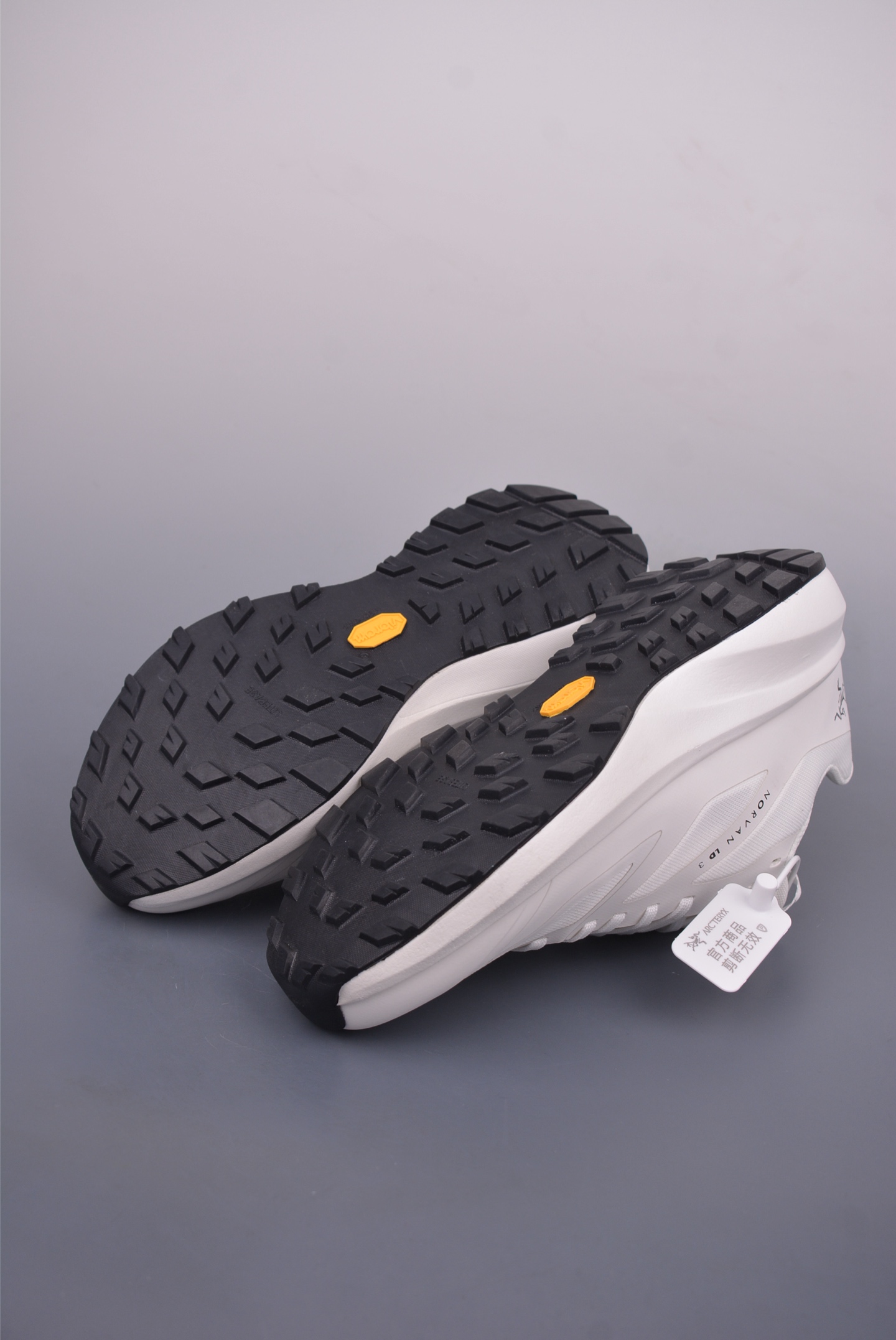 Arc'teryx NORVAN LD 4 M 