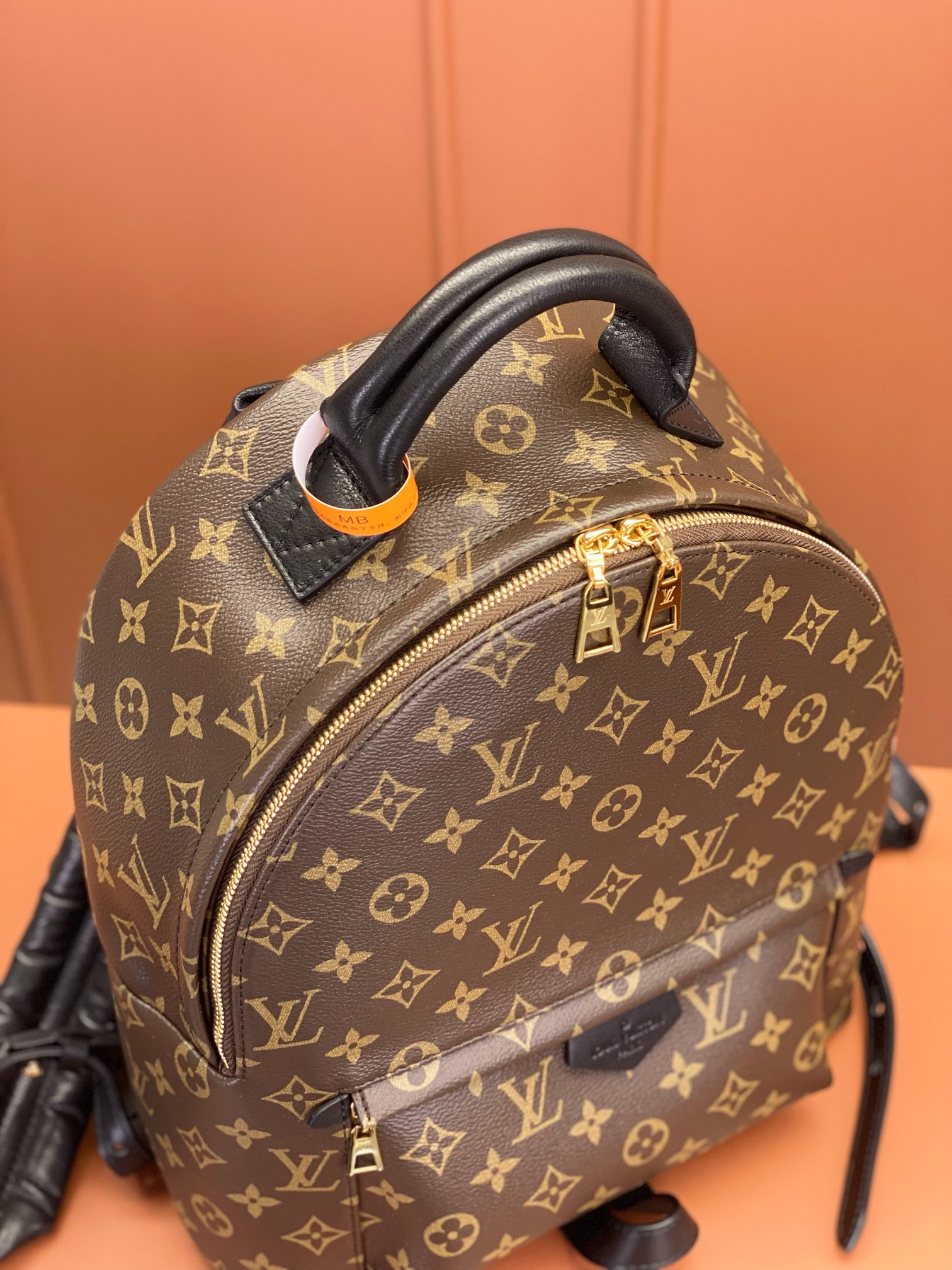 Louis Vuitton PALM SPRINGS Medium Backpack M44874