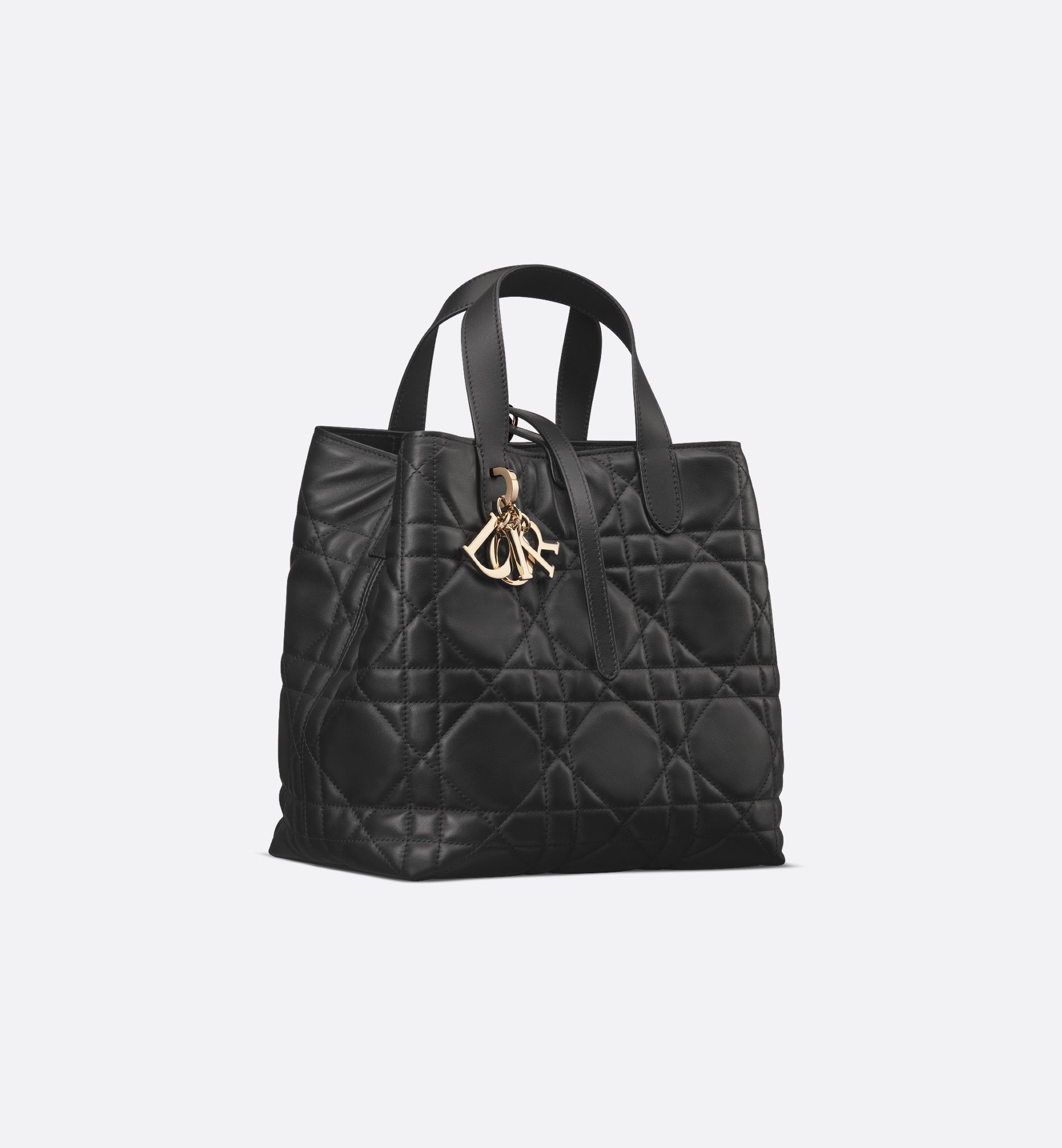 Dior Medium Dior Toujours Vertical Handbag M2836OSNW_M900